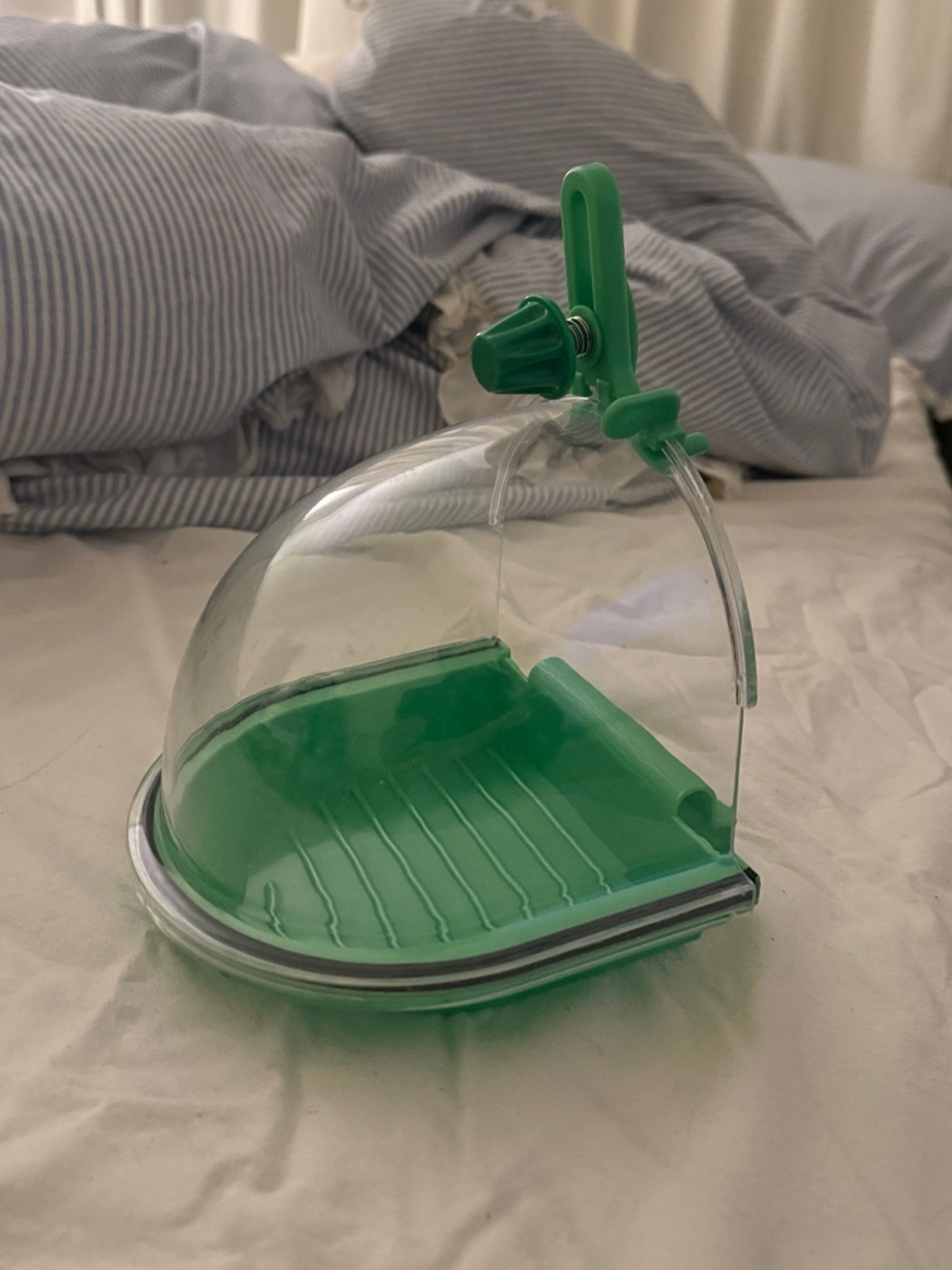 JW Petco Petsmart Clear and Green Small Bird Bath - Picture 3 of 4